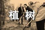 植树环保活动策划11篇