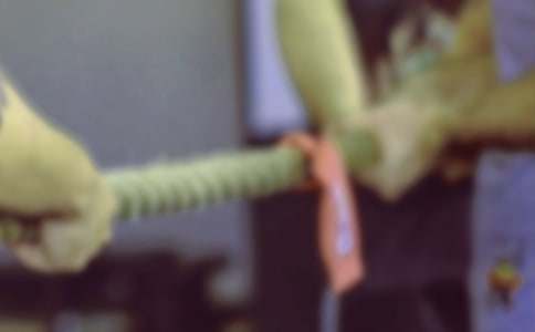 �κ�Сѧ�ռ�4ƪ