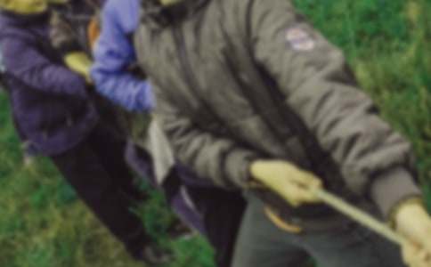 ʵ�õ����꼶�κӱ������Ļ���7ƪ