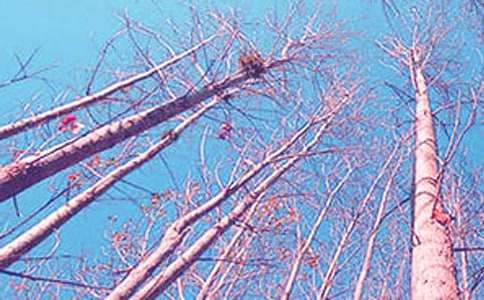 Сѧ���Ŀ��ġ������ѧ���