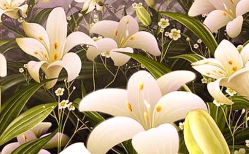 林清玄《心田上的百合花开》优秀教学设计