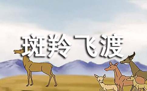 ���꼶���ġ�����ɶɡ����ʿν�ѧ���