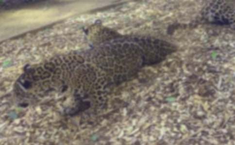 ��д���ӵľ���