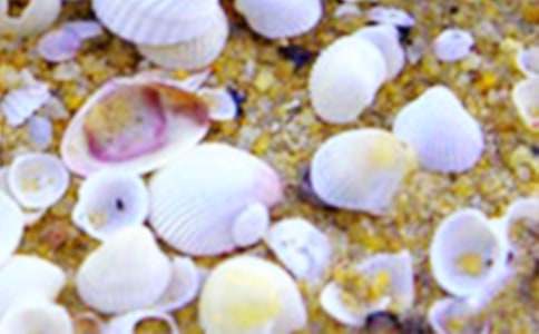 ��ɫ�ı��Ƕ���У���ѡ45ƪ��