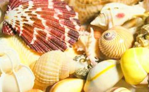 ������ƪ�����������ǡ���ϰ��