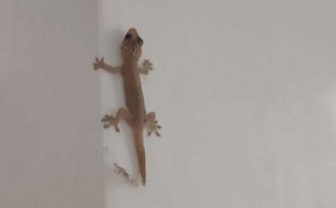 ��С�ڻ���β�͡���ѧ���(15ƪ)