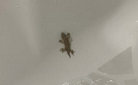 ��д�ڻ�������