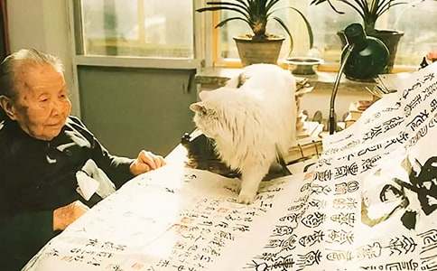 ���ġ�̸�������̰���Ʒ�γ����