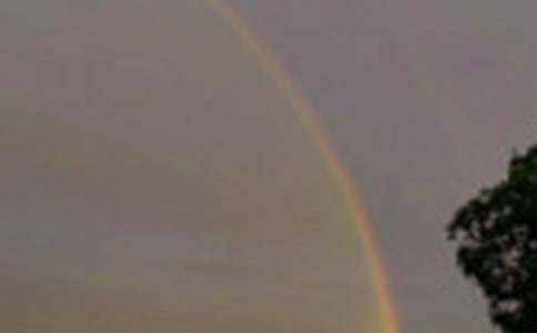 �����еĲʺ��������