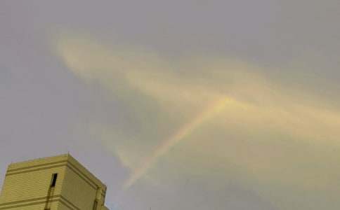 关于彩虹的句子通用15篇