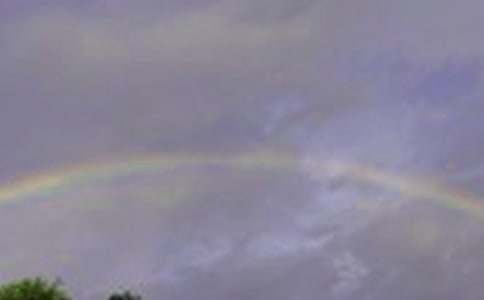 ���������ʺ��������