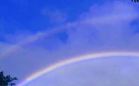 �ʺ��������