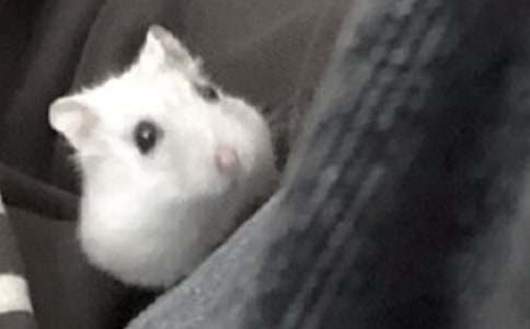 ��ѡ�ɰ���С��������500��