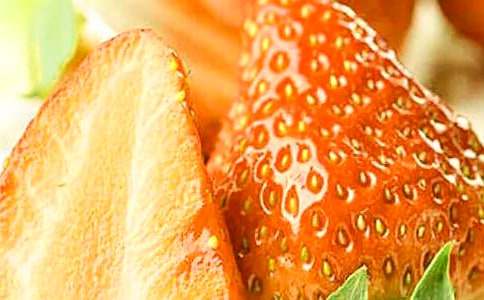 Сѧ��ժ��ݮ400�����ľ�ѡ