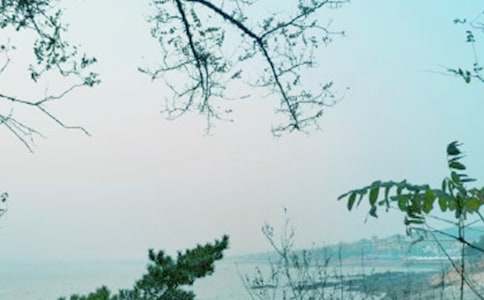 д�������������