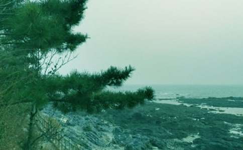 2016�����ж�ʵʩ����