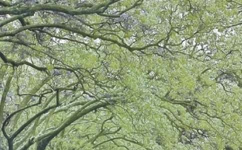 ����90�����ֳ���-��ԡ�ڵ��Ĵ�����