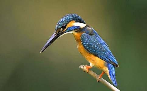 ���꼶���ġ�����ͬ����ϰ