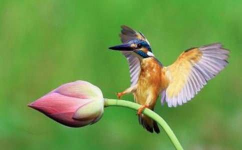 ���꼶�����²᣺�����񡷽�ѧ���