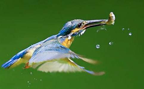 ���꼶�²����Ĵ���̰�