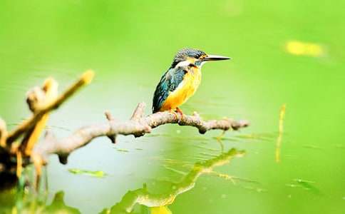 ���꼶�����²ᡶ���񡷽�ѧ��˼7ƪ