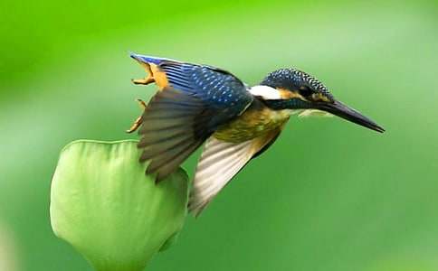 ���꼶�����²ᡶ���񡷽�ѧ��˼