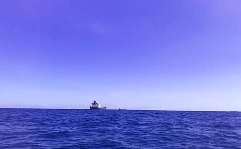 ���꼶���������еĴ�450��