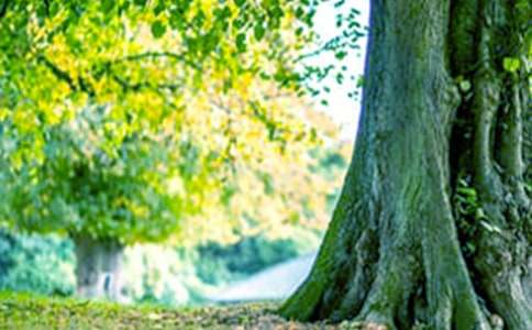 ������������������������800��