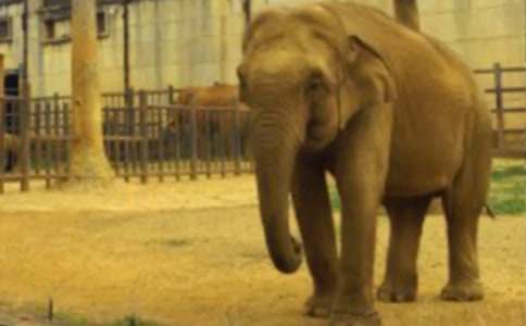 ������Ķ��䡷�����ѧ���