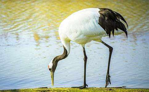 �������ĵ����ס��ڶ���ʱ��ѧ��˼����