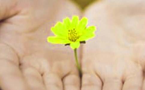 最新道歉的句子