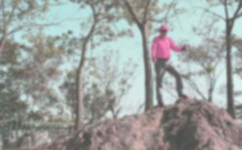 ��ɽ��߻�