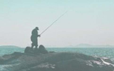 Сè������꼶����6ƪ