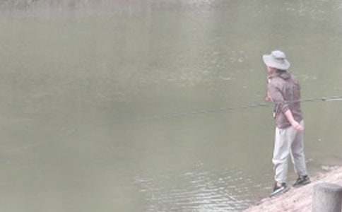 ��ѡ���꼶����������ƪ