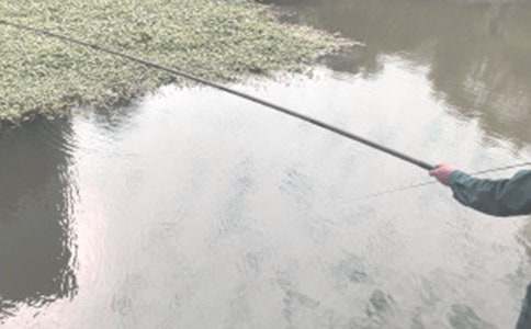 ����Сѧ�ռ�15ƪ