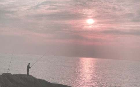 ����ľ������