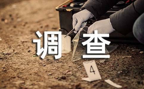 ���鱨������