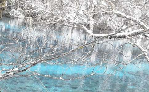 ������ȫ��������