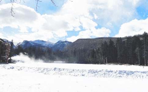 Сѧ������ȫ��������