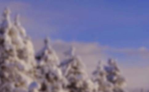 ��������ҹ���ľ���