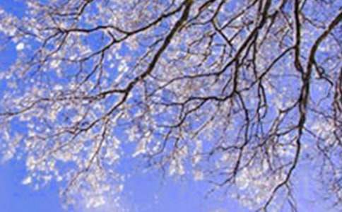 ��������ů��ף����