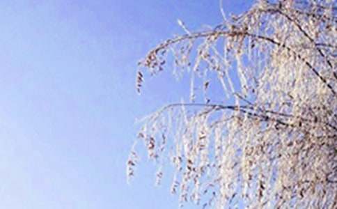 ��д����Ĺ�ʫ�����š�