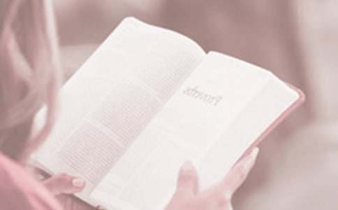 2016Сѧ��������ջ�ܽ�