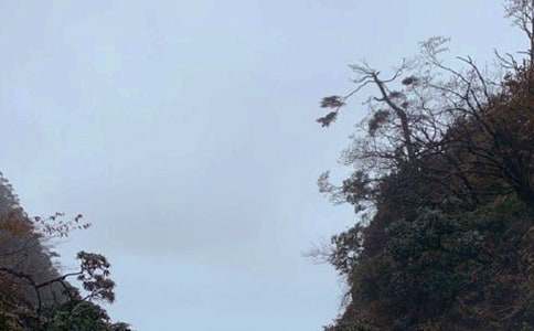 ���꼶���ģ���üɽ����Щ��