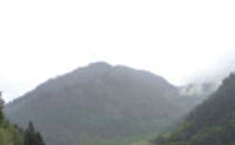 �ս̰����꼶�ϲᡶ��üɽ�¸衷��ѧʵ¼