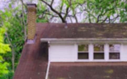 四年级暑假作文:未来的房子