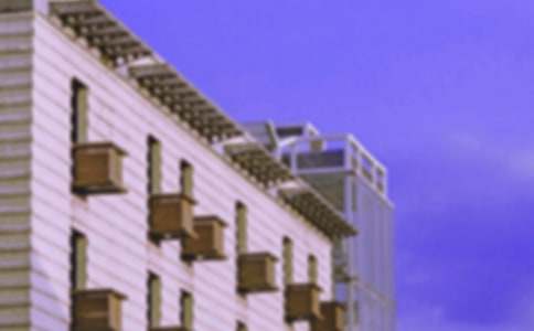 δ���ķ���Сѧ����������