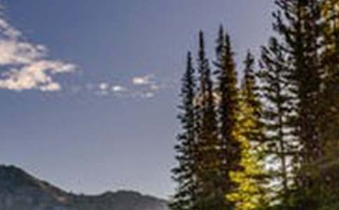 ��д����Ȼ�羰�ľ��� ���ݴ���Ȼ�����ľ�������Щ