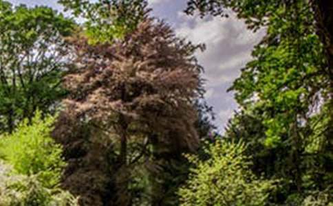 ������־���£����������·���ſ�������羰