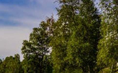 ���������羰�������ļ���9ƪ